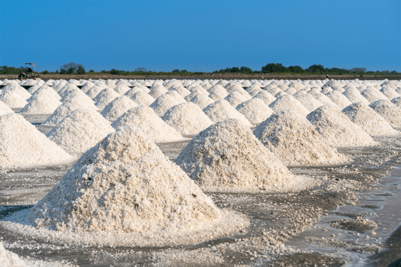 Silica & Catalysts